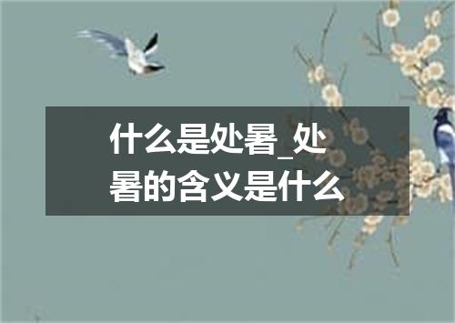 什么是处暑_处暑的含义是什么