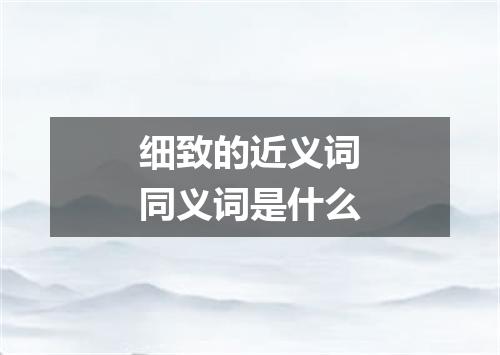 细致的近义词同义词是什么