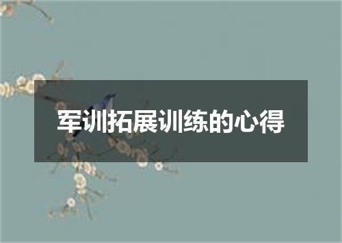 军训拓展训练的心得