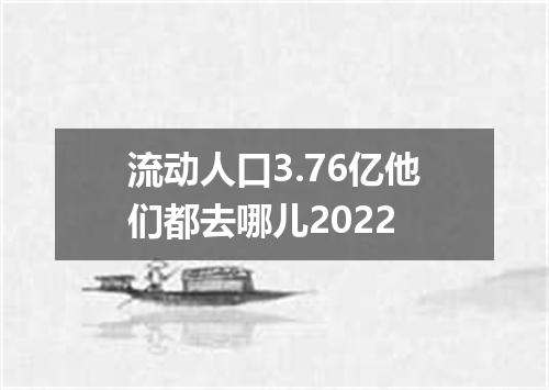 流动人口3.76亿他们都去哪儿2022