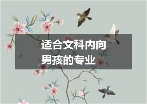 适合文科内向男孩的专业