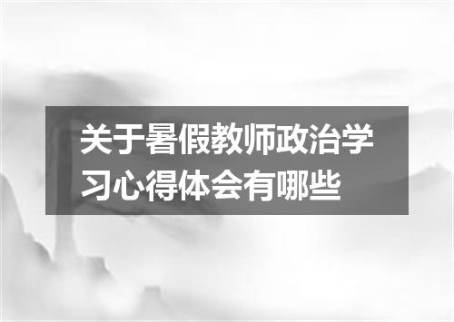 关于暑假教师政治学习心得体会有哪些