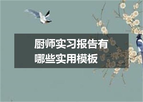 厨师实习报告有哪些实用模板