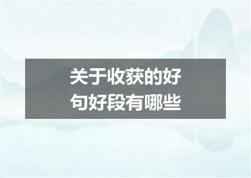 关于收获的好句好段有哪些