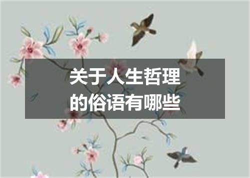 关于人生哲理的俗语有哪些