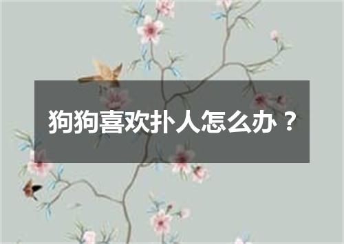 狗狗喜欢扑人怎么办？