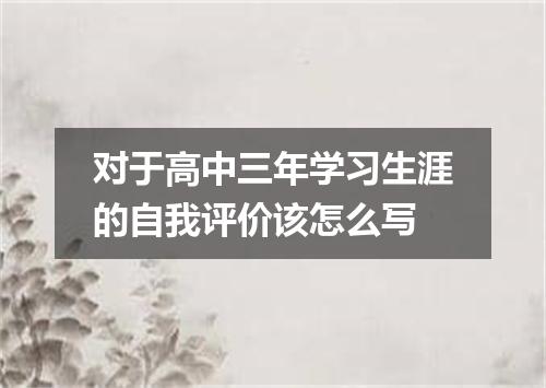 对于高中三年学习生涯的自我评价该怎么写