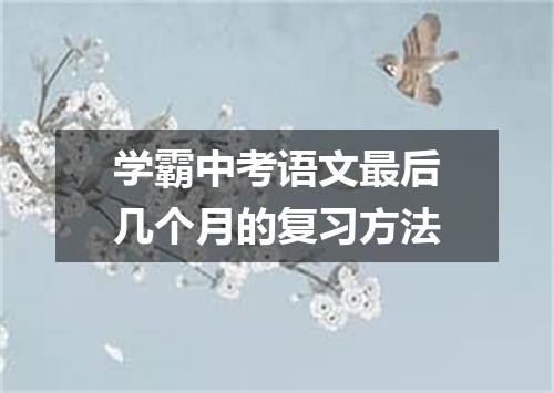 学霸中考语文最后几个月的复习方法