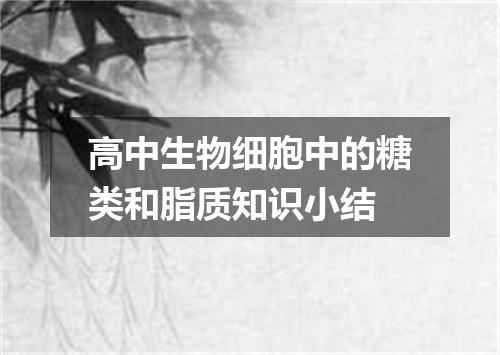 高中生物细胞中的糖类和脂质知识小结