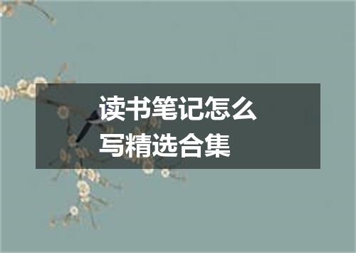 读书笔记怎么写精选合集
