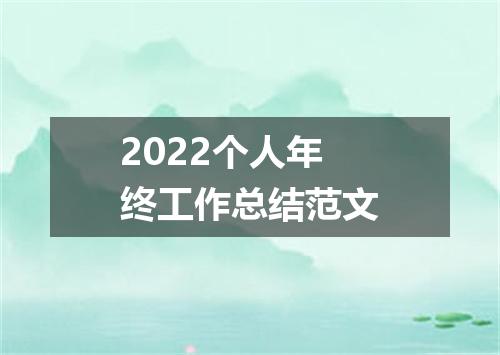 2022个人年终工作总结范文