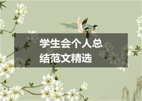 学生会个人总结范文精选