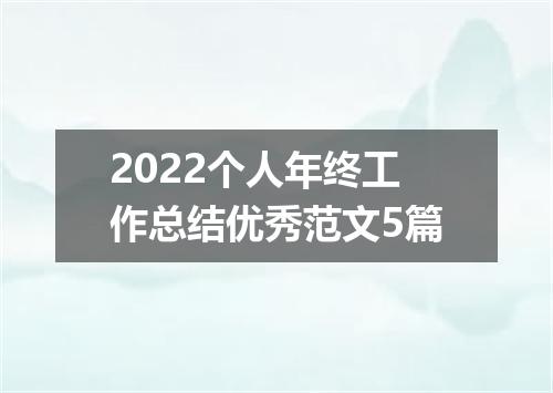 2022个人年终工作总结优秀范文5篇