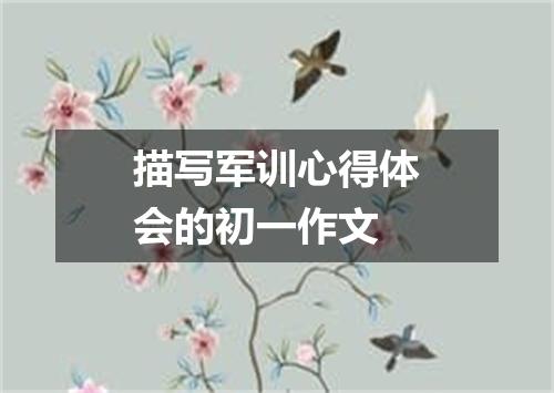 描写军训心得体会的初一作文