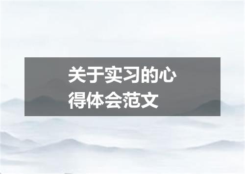 关于实习的心得体会范文