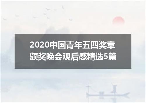 2020中国青年五四奖章颁奖晚会观后感精选5篇
