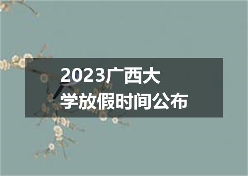 2023广西大学放假时间公布