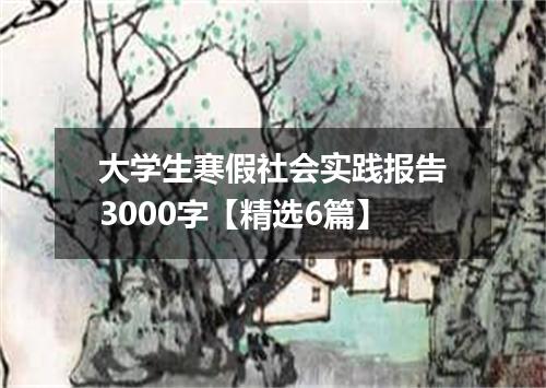 大学生寒假社会实践报告3000字【精选6篇】