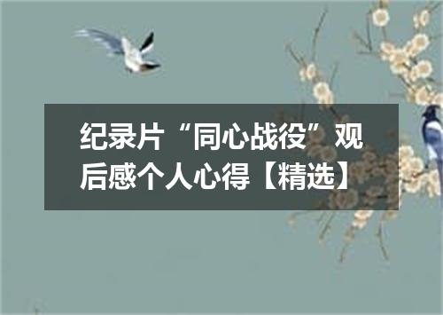 纪录片“同心战役”观后感个人心得【精选】