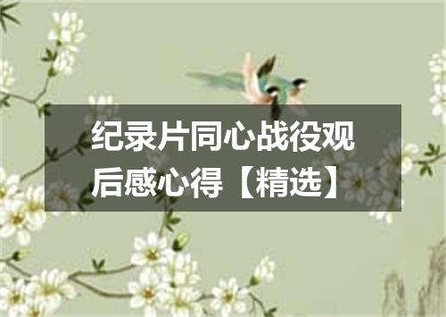 纪录片同心战役观后感心得【精选】