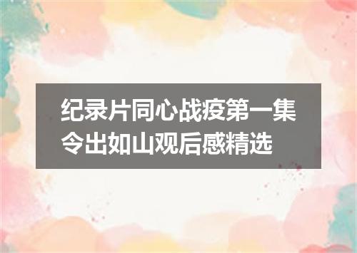 纪录片同心战疫第一集令出如山观后感精选
