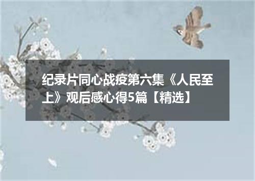纪录片同心战疫第六集《人民至上》观后感心得5篇【精选】