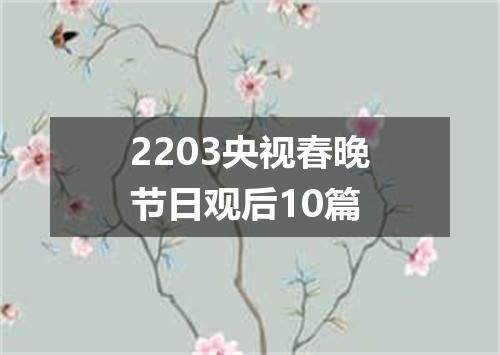 2203央视春晚节日观后10篇