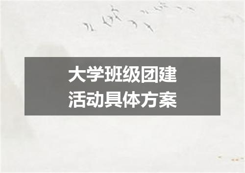 大学班级团建活动具体方案