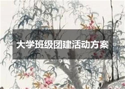 大学班级团建活动方案