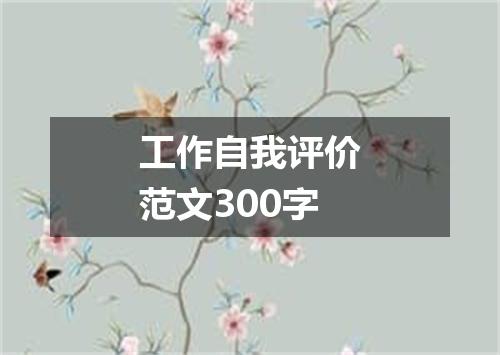 工作自我评价范文300字
