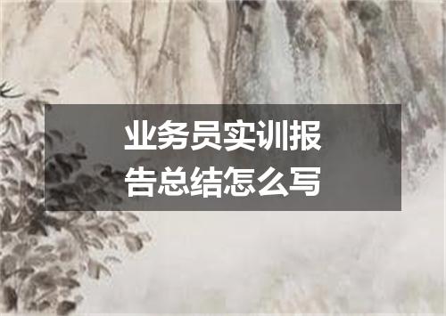 业务员实训报告总结怎么写