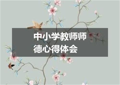 中小学教师师德心得体会
