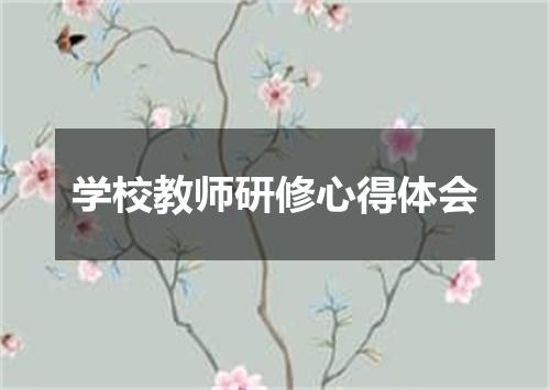 学校教师研修心得体会