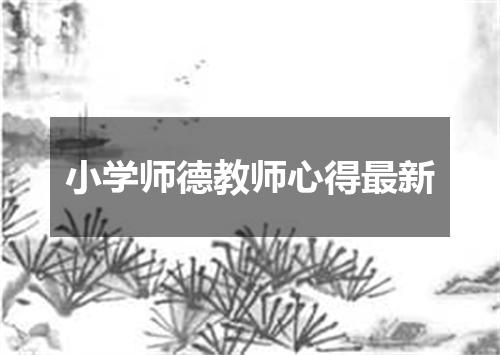 小学师德教师心得最新