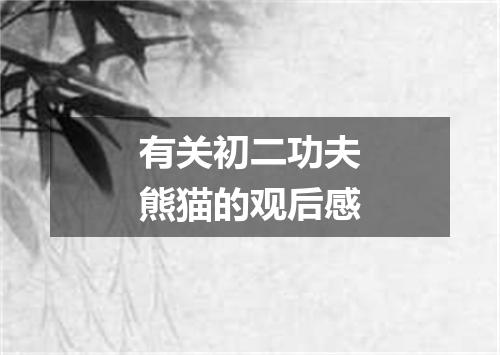 有关初二功夫熊猫的观后感