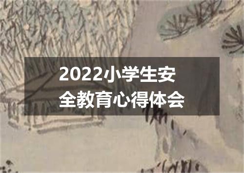 2022小学生安全教育心得体会