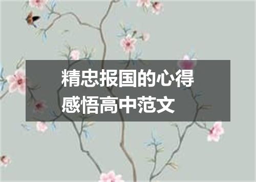精忠报国的心得感悟高中范文