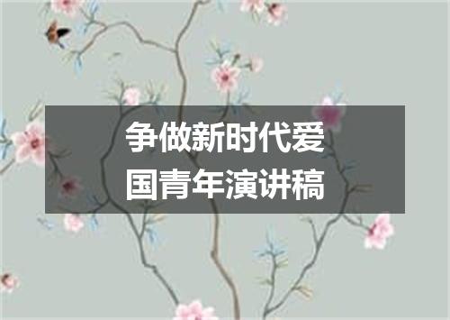 争做新时代爱国青年演讲稿