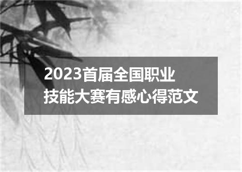2023首届全国职业技能大赛有感心得范文