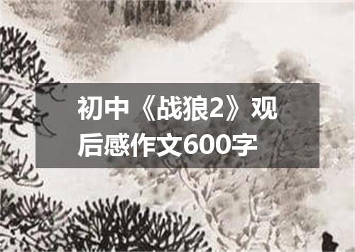 初中《战狼2》观后感作文600字