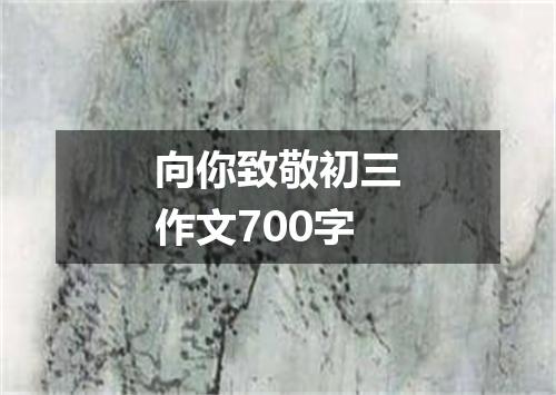 向你致敬初三作文700字