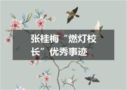张桂梅“燃灯校长”优秀事迹