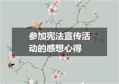 参加宪法宣传活动的感想心得