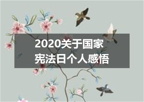 2020关于国家宪法日个人感悟