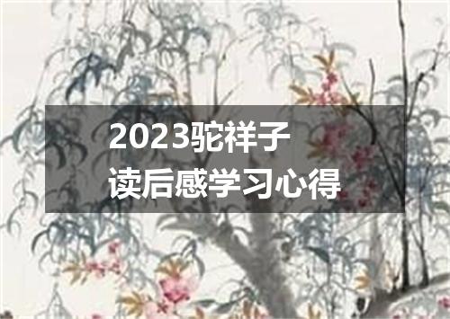 2023驼祥子读后感学习心得