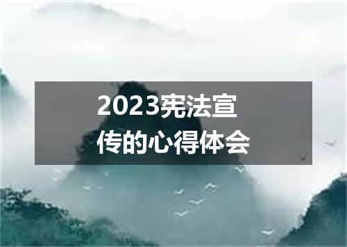 2023宪法宣传的心得体会