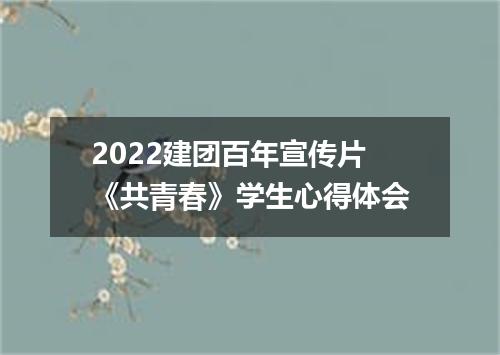 2022建团百年宣传片《共青春》学生心得体会
