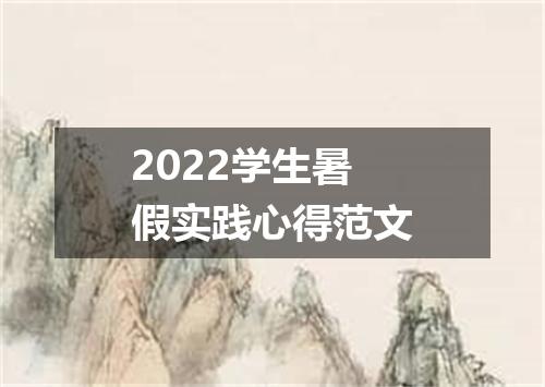 2022学生暑假实践心得范文