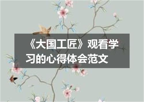 《大国工匠》观看学习的心得体会范文