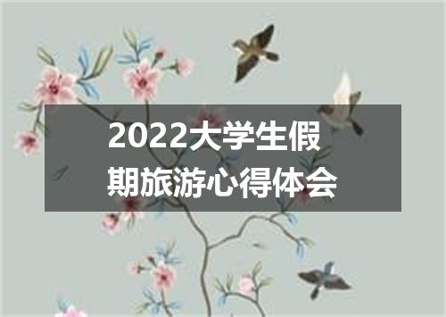 2022大学生假期旅游心得体会